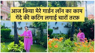 Garden Lawn update || गेंदे की कटिंग से भर दिया पूरा लॉन 🤩 फलों के पेड़ों की भी करी कटिंग