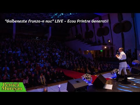 Petrica Muresan - "Galbeneste frunza-n nuc" LIVE - Ecou Printre Generatii