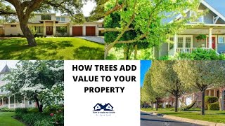 HOW TREES ADD VALUE TO YOUR PROPERTY | Add Value to Your Property | Increase Your Property Value