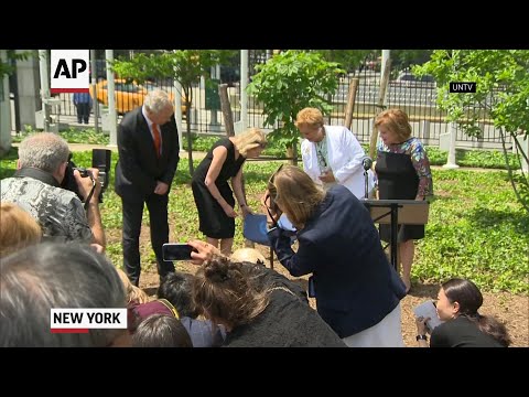 Anne Frank tree planted at UN headquarters