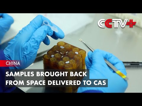 Samples Brought Back from Space Delivered to CAS