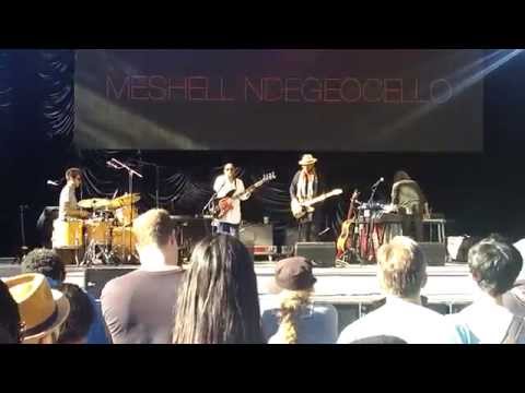 Meshell Ndegecello - See-Line Woman Live 6/6/15 [Summerstage]