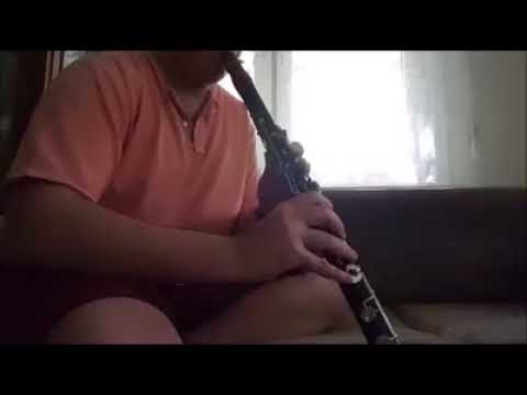 Berke Altıparmak - Suzinak Klarnet Taksimi