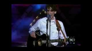 1991   Spinetta en Telemanías