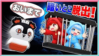 セイレーンのなんかずっと暗い所から脱出してみるロブロックス・・・😱【 ロブロックス/ Roblox】【 ちいかわ / セイレーン /人魚島の秘密　】