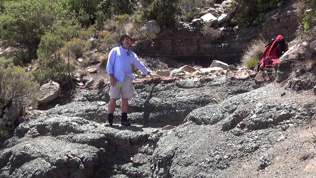 Permo Triassic Intro