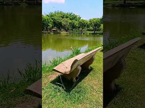 pesqueiro JJ EM ARARAS interior de São Paulo