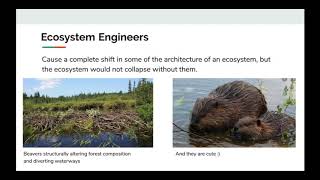 Keystone Species and Community Structure