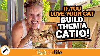 If You Love Your Cat, Build Them A Catio!