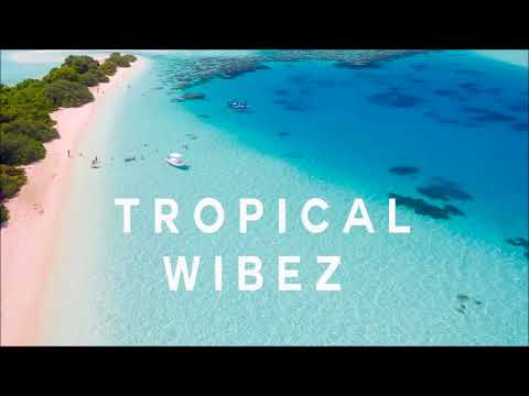 Uplink Ft. Liljaa - Scars (Tropical house 2018)