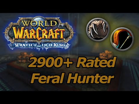 Rank 1 Feral + MM Hunter 2v2 Arenas (WotLK)