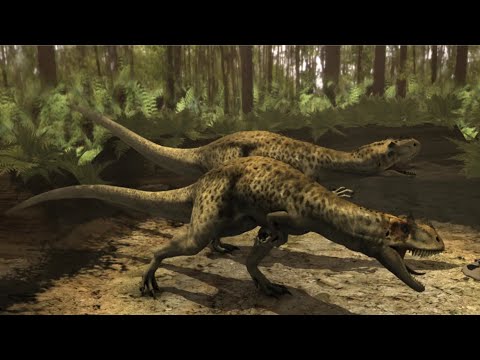 Jurassic Fight Club | S01E06 | Hunter Becomes Hunted | FULL EPISODE | History Channel
