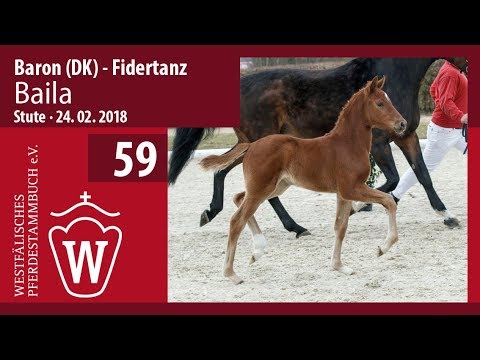 59 Baila SF v. Baron (DK) - Fidertanz