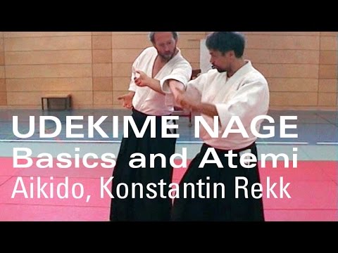 Aikido Ude Kime Nage Basics and Atemi - Aikido Technique - Aihanmi Katatedori Ju-Tai