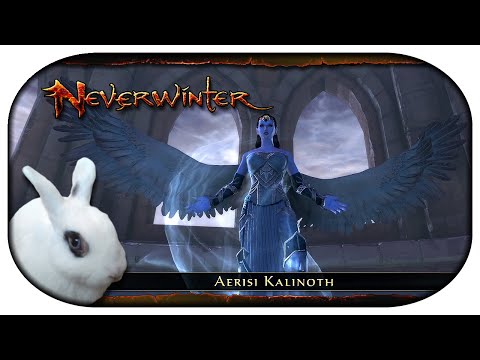 NEVERWINTER: Paladin-LP 🐇 110 - Riesige Riesengeschmiedete Riesenwaffen