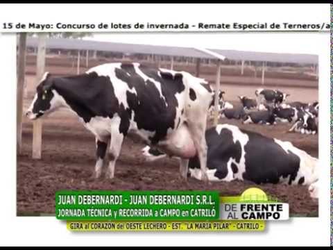 DE FRENTE AL CAMPO junto a JUAN DEBERNARDI