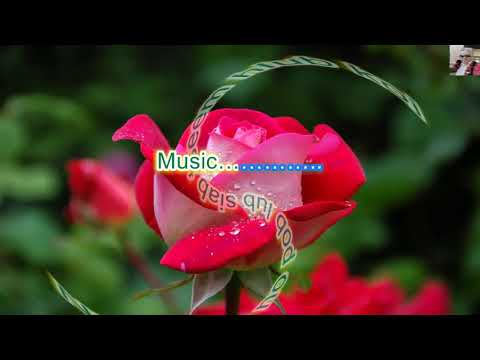 Lub Paj Ntshua Nplaim Karaoke by Luj Yaj