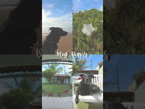 🎬 Slow Living in Carnival | Dias Simples, Praia e Estudos