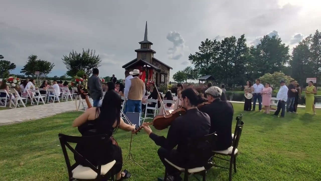 Promotional video thumbnail 2 for Strings Live Music