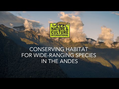 Wildlife Specialist Virtual Panel: Conserving Habitat for Wide-Ranging Species in the Andes