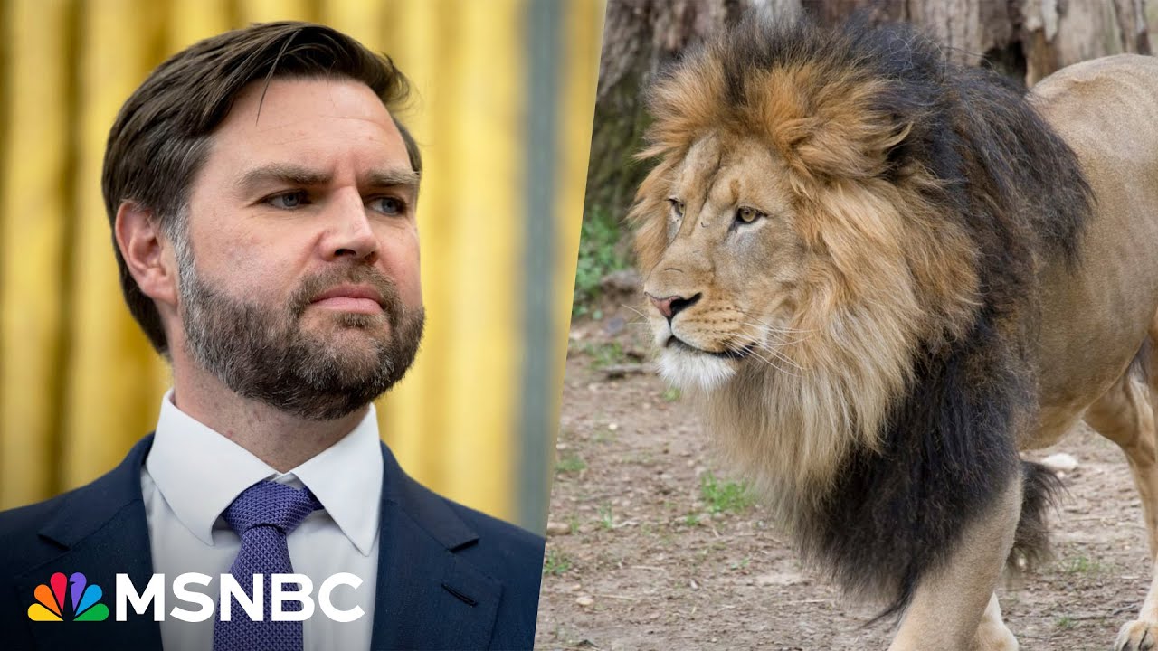 Trump directs JD Vance to go after âwoke zoosâ