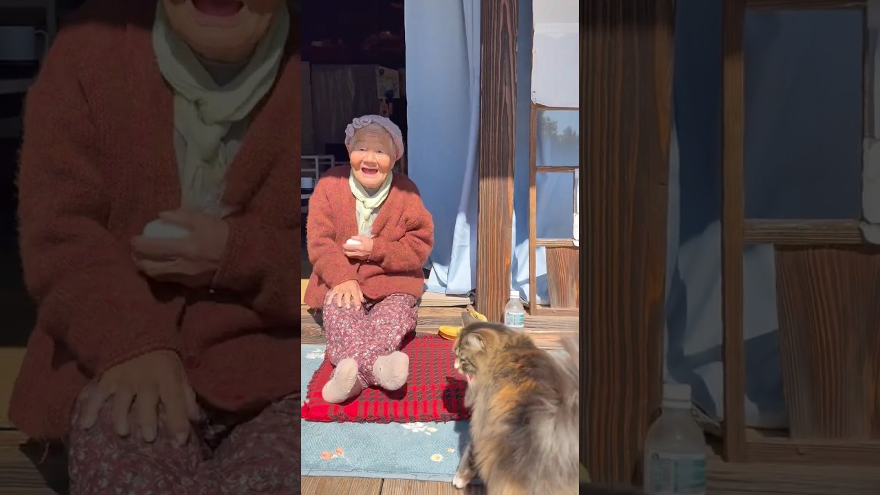 ばあちゃん何食べてるの？食べて遊んで寝る #おばあちゃんと猫 #shorts