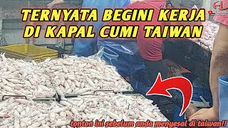 Download lagu How Seasonal Taiwanese Squid Fishing Vessels Work Using Nets || Taiwanese Squid Fishing Boat mp3