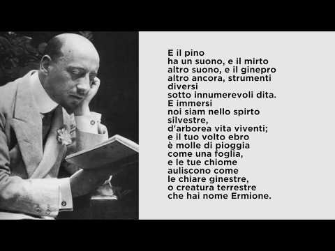 "La pioggia nel pineto" di Gabriele D'Annunzio, letta da Paolo Rossini
