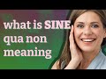 Sine qua non | meaning of Sine qua non