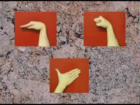 TRADITIONAL SNAKE STYLE KUNG FU PROTOCOL