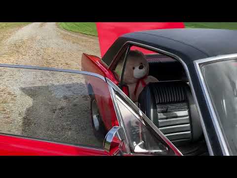 1966 Ford Mustang (CC-1644324) for sale in Rehoboth, Massachusetts