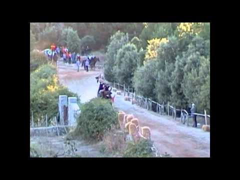 PARIGLIAS PATTADA  27 08 2011