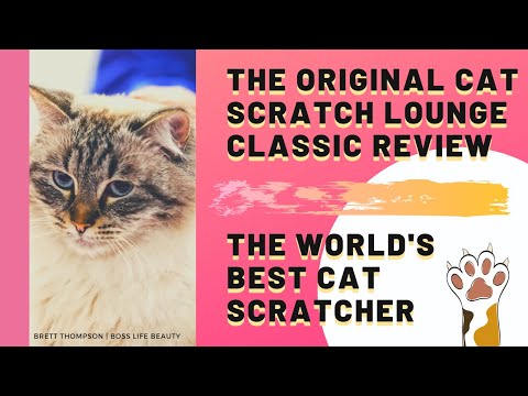 The Original Cat Scratch Lounge Classic Review The World's Best Cat Scratcher