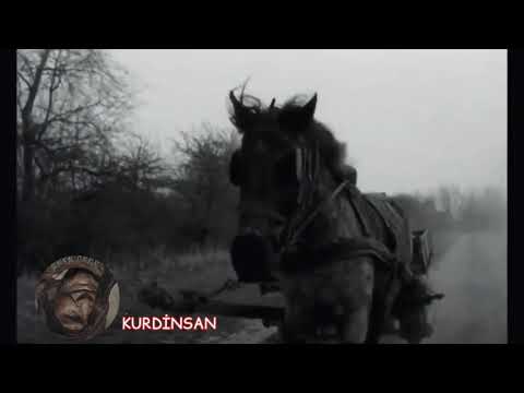 Her kurd ebin (Hep Kürt kalacağız)