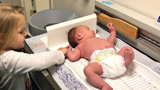 BABY'S 2 WEEK DOCTOR CHECK UP | FAMILY VLOG