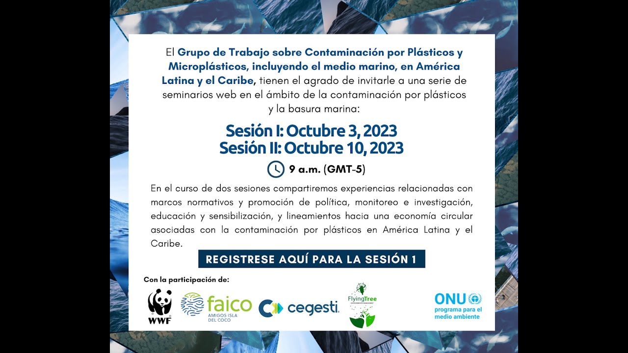 Experiencias para abordar la contaminación por plásticos desde la investigación y la sensibilización