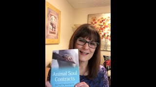 Author Tammy Billups gives a tutorial of her newest book Animal Soul Contracts