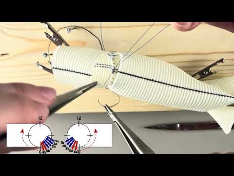 Aortic Graft Anastomosis