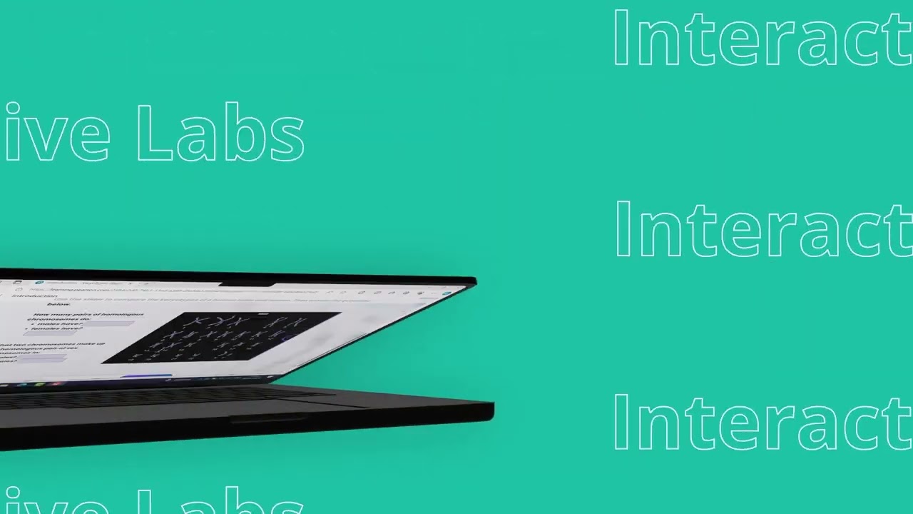 Interactive Labs