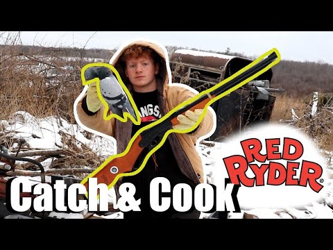 YouTube video about: Can a red ryder kill a bird?