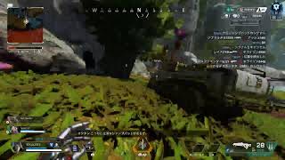 apex 野良ランクダイヤ帯