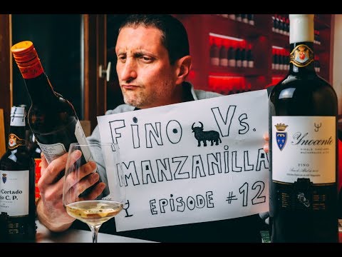 download lagu mp3 mp4 Buy Manzanilla Sherry, download lagu Buy Manzanilla Sherry gratis, unduh video klip Buy Manzanilla Sherry