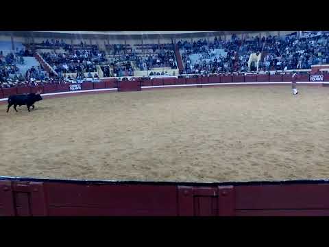 Rui grilo- forcados amadores do redondo- Coliseu Figueirense 2017