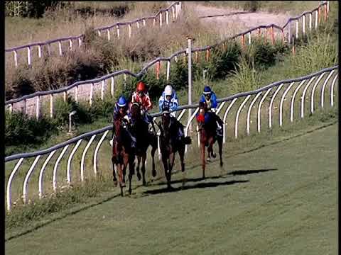 Galoppo 31/07/2019 - 1ª corsa