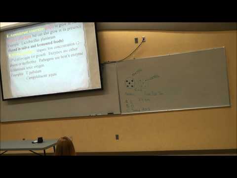 Prof. Khan Lecture 12