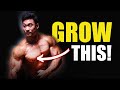Build a Huge Lower Chest (How to Make a Highly Effective Program)