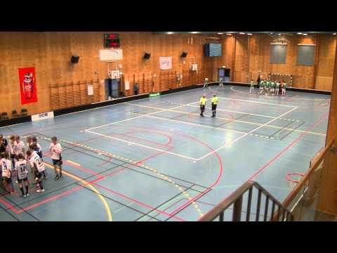 IBF Göteborg -Lindome 11/1 2015