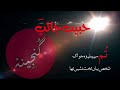 Tum Se Pehlay Wo Jo Ek Shakhs Yahan Takht Nasheen Tha Habib Jalib Ghazal