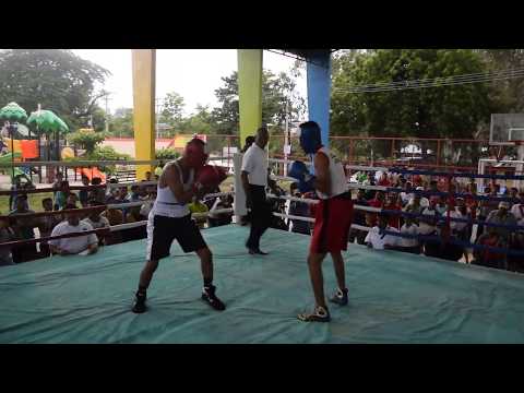 Wiston Guerrero vs Jesus Alvarado