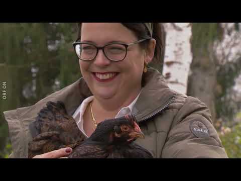 Erlebnis Österreich: Sauguad! Eine Liebeserklärung an den Schweinsbraten (2022)